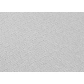 Nappe en papier 100x100cm Blanc 40g (480 Unités)