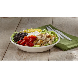 Bol Canne à Sucre 750ml Ø21x4cm (300 Unités)